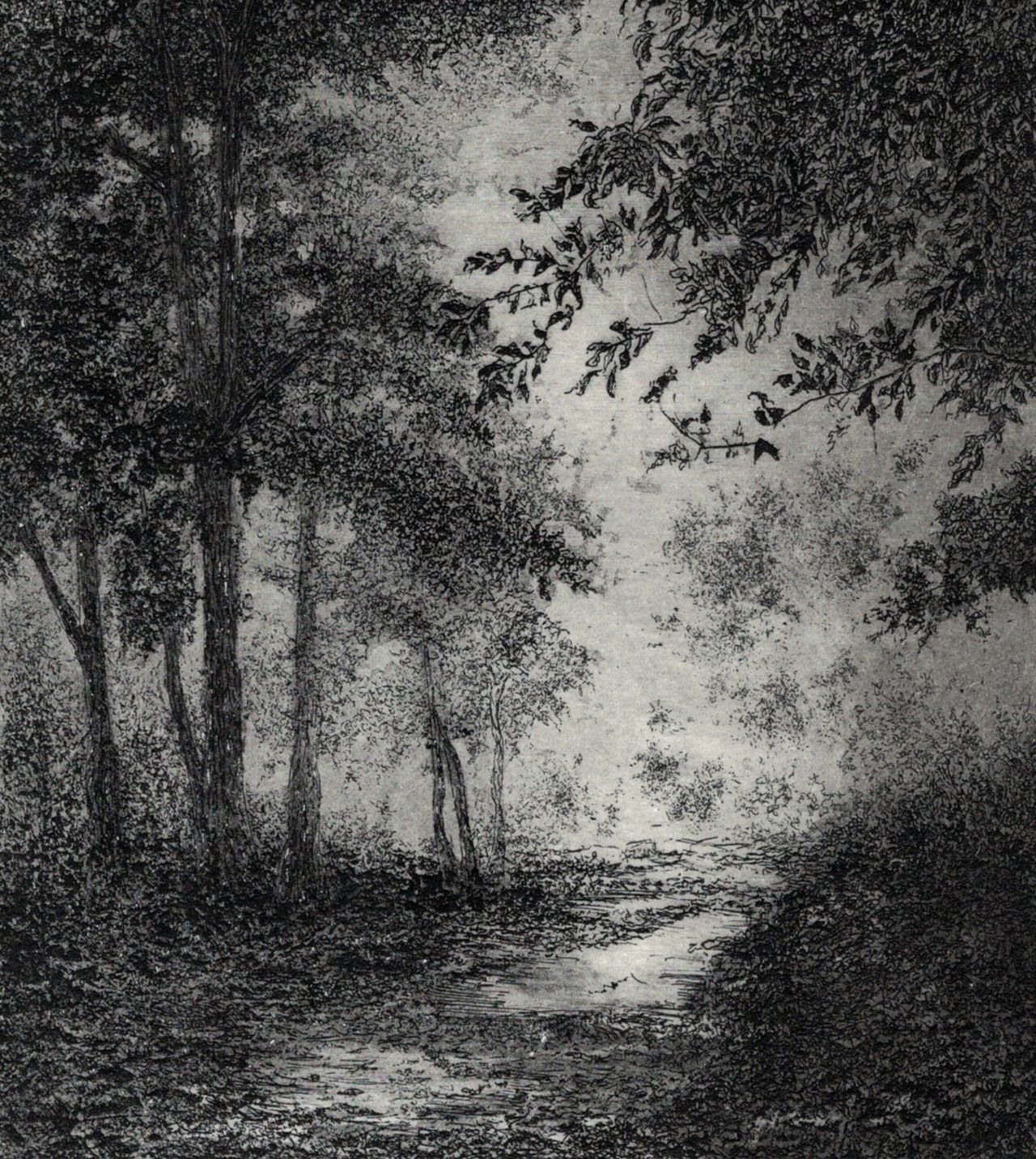 Estampe en eau-forte et aquatinte représentant un sentier forestier dans la brume.