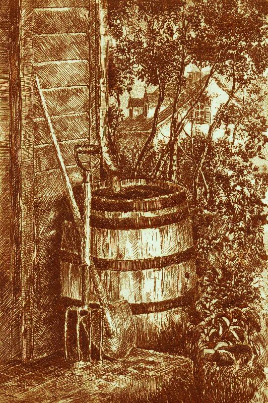 Pluie d'été