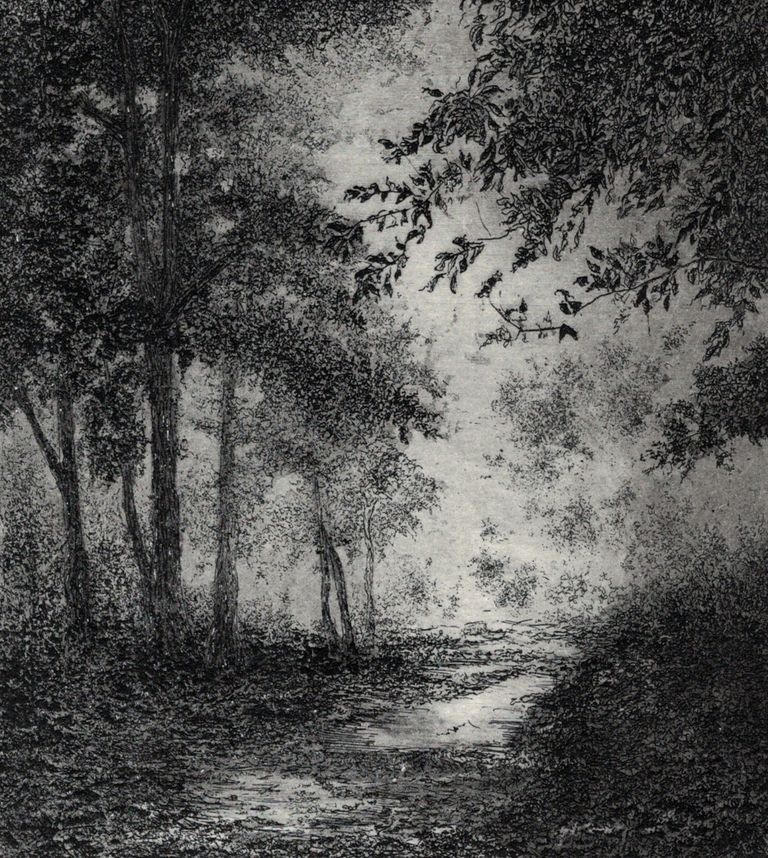 Foggy day